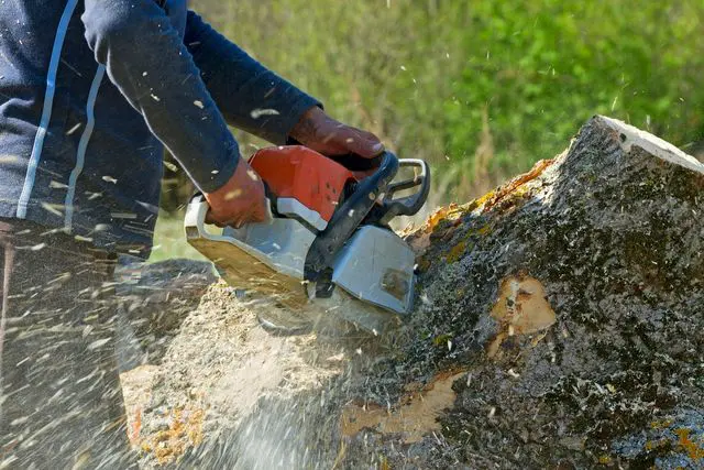 A person cutting tree with a chain saw.